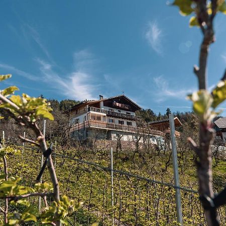 Malgorerhof Lavendel 산 제네시오 아테시노 외부 사진